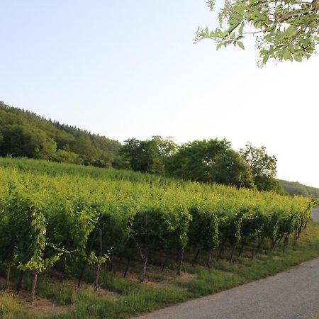 A L'Oree Des Vignes, Superbe Logement De 80 M2 Wangen Bagian luar foto