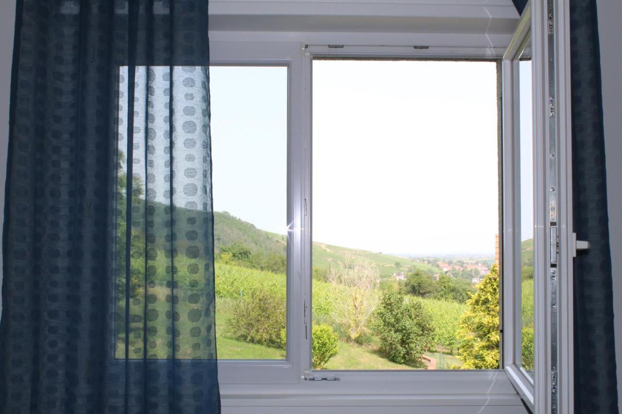 A L'Oree Des Vignes, Superbe Logement De 80 M2 Wangen Bagian luar foto