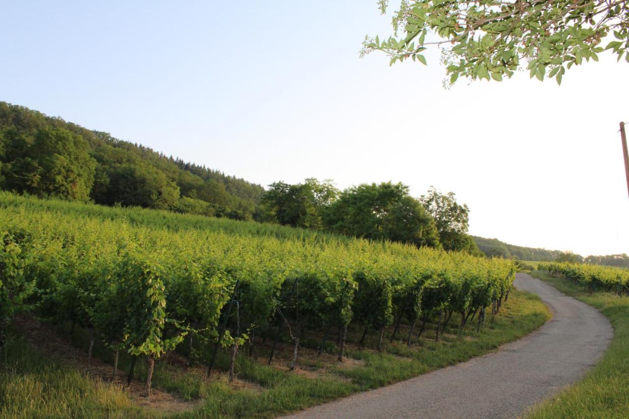 A L'Oree Des Vignes, Superbe Logement De 80 M2 Wangen Bagian luar foto
