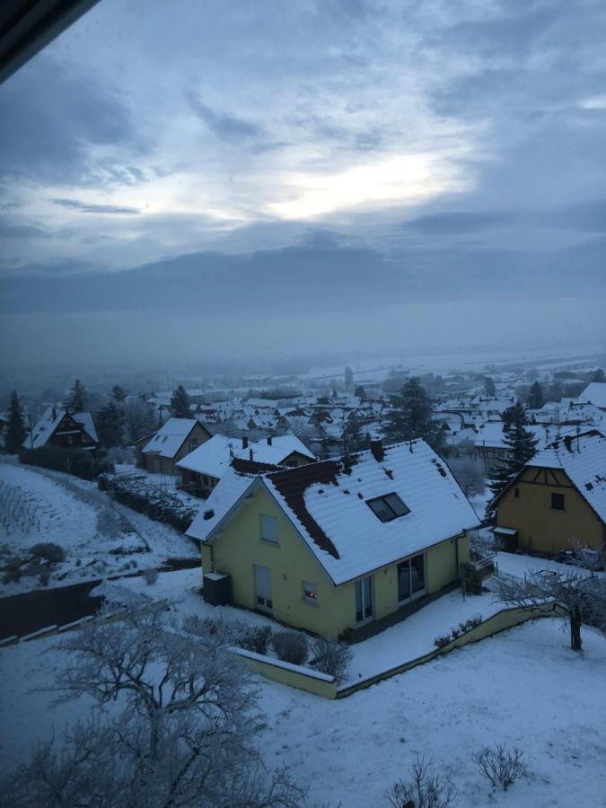 A L'Oree Des Vignes, Superbe Logement De 80 M2 Wangen Bagian luar foto